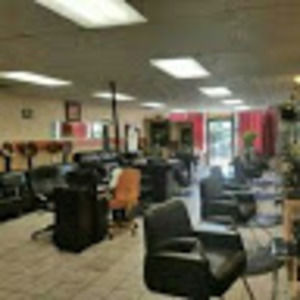 Meet your Posher, Darla